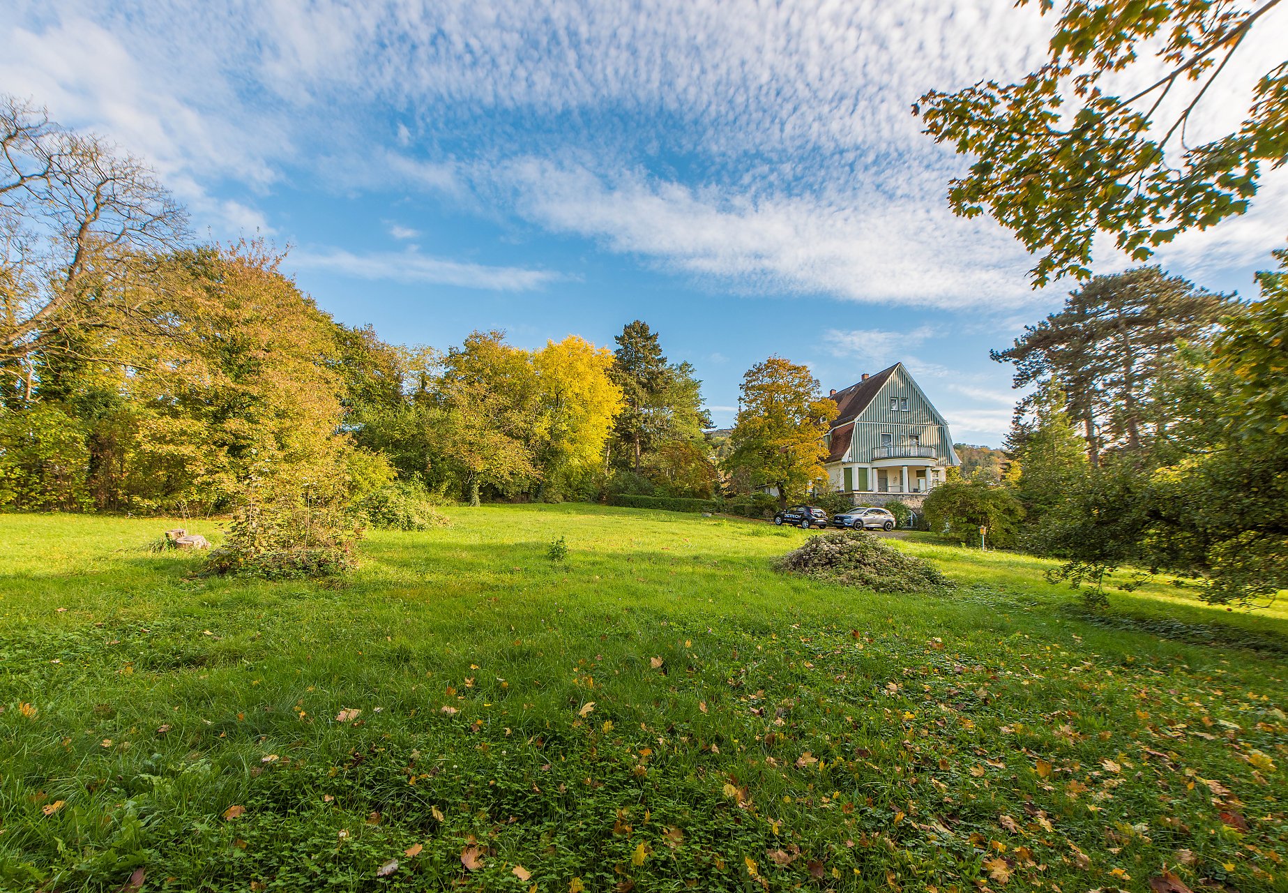 Alsbach Historische Villa der Refomarchitektur mit sensationellem Grundstück und Rheintalblick - Oliver Reifferscheid - Immobilienmakler Darmstadt