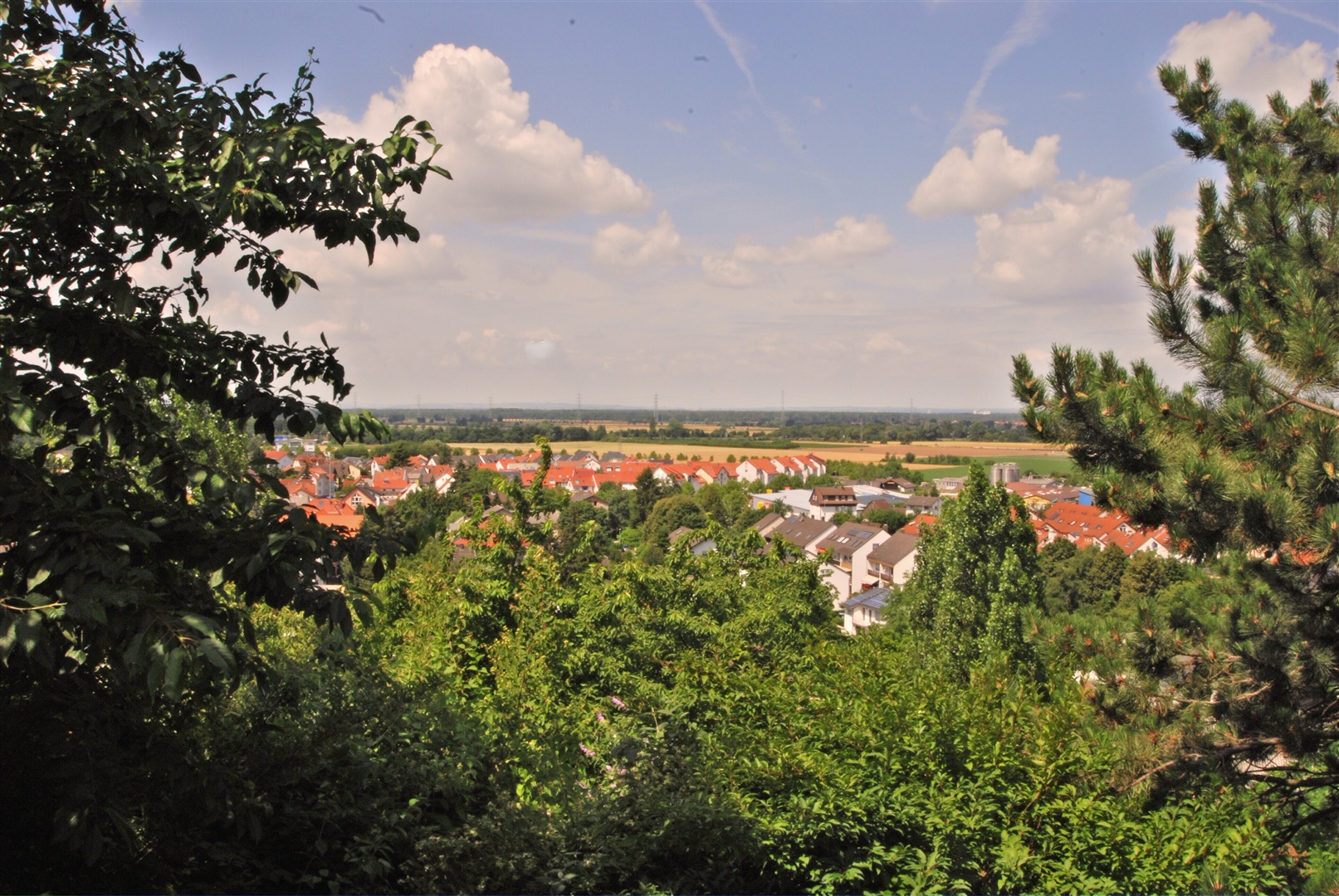  - Zwingenberg, Baugrundstück mit Blick - Exposé 1308