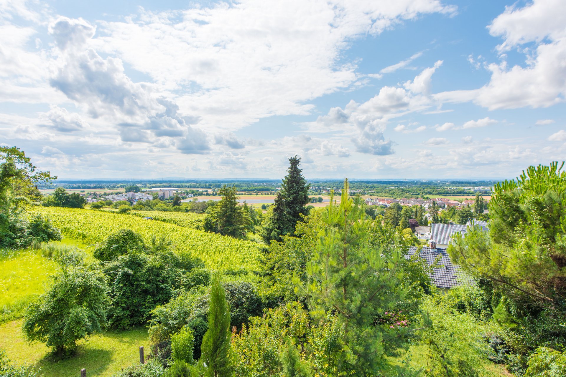 Blick von der großen Westterrasse und vom Außenpool - Oliver Reifferscheid - Immobilienmakler Darmstadt