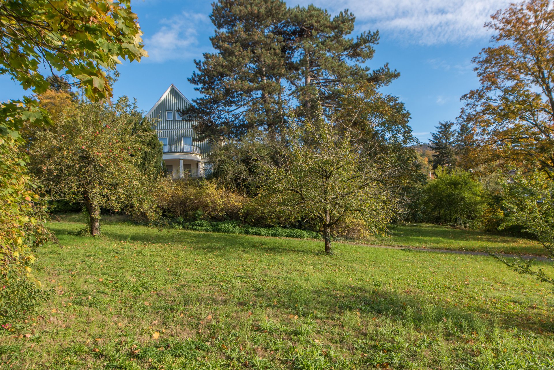 Villa auf dem Berg - Oliver Reifferscheid - Immobilienmakler Darmstadt