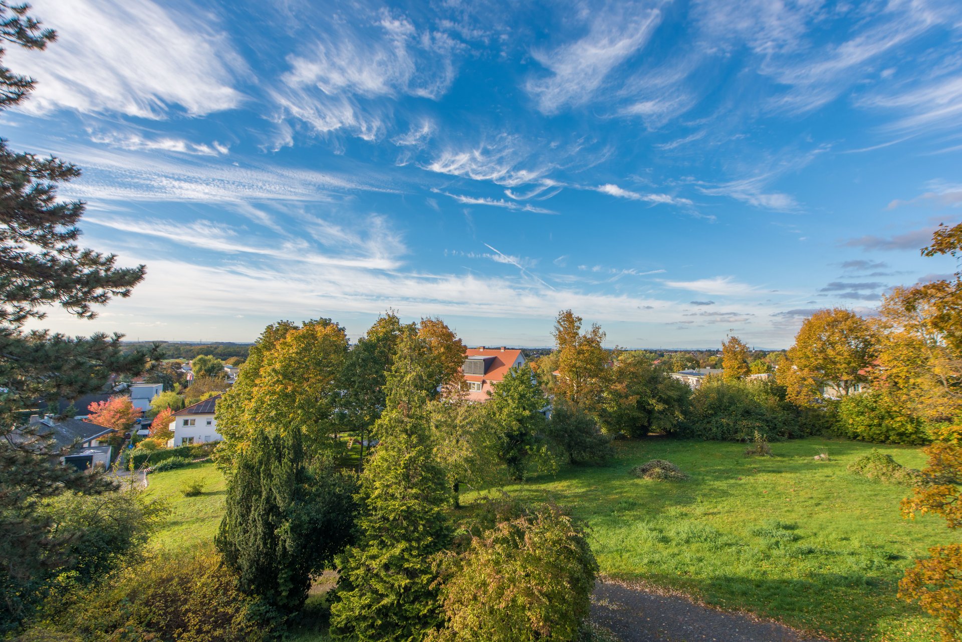 Blick in die Rheinebene - Oliver Reifferscheid - Immobilienmakler Darmstadt